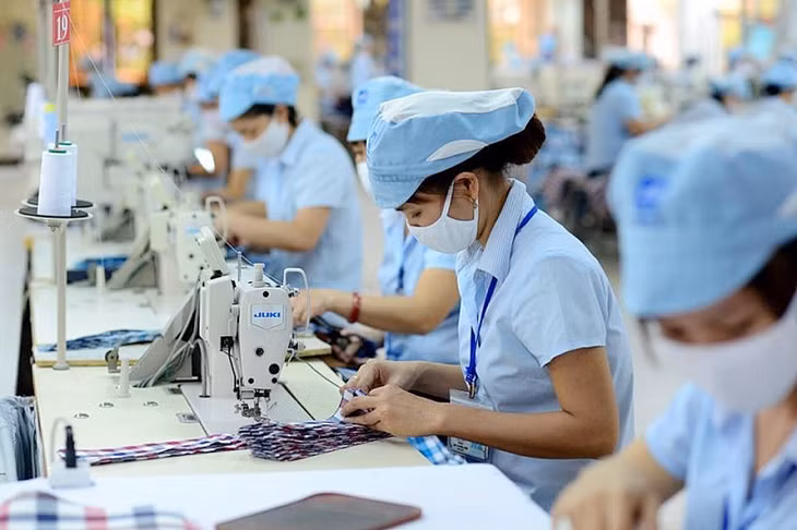 Năm 2024, kim ngạch xuất khẩu dệt may tăng 11,26% so với năm 2023. Ảnh minh họa