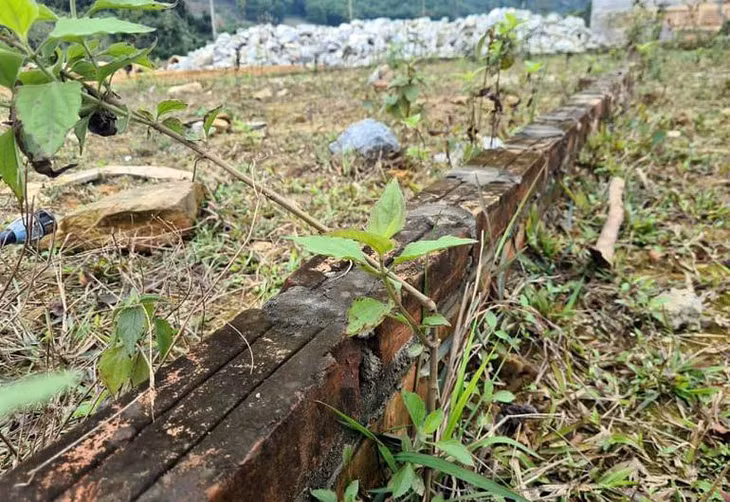 Theo chia sẻ của người dân các khu vực đất phân lô này, hiện tại, các lô đất đều có chủ là những nhà đầu tư từ nơi khác đến. Sau thời gian đươc mua bán nhộn nhịp, các khu đất lại bị bỏ không, cỏ mọc um tùm