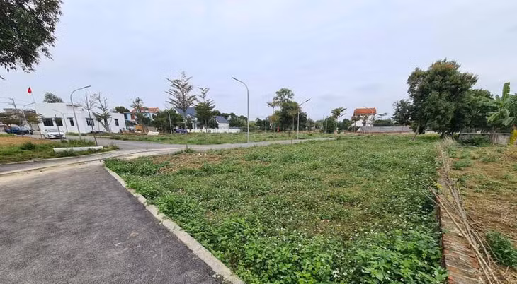 Cũng tại xã Cổ Đông, cách 2 khu đất phân lô đang bán rầm rộ trên không xa là hàng loạt khu đất quy mô tách thửa thành vài chục lô cũng đang để cỏ mọc um tùm