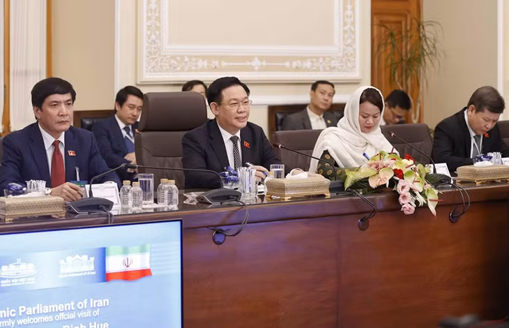 Chủ tịch Quốc hội Vương Đình Huệ phát biểu tại cuộc hội đàm. Ảnh: TTXVN