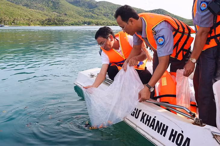 Chính quyền thả hơn 400.000 giống tôm, cá tại vịnh Nha Trang