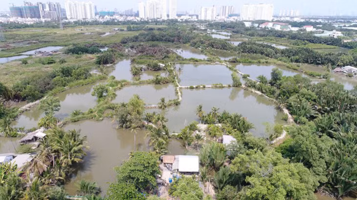 Dự án Khu dân cư Bắc Phước Kiển, huyện Nhà Bè, TP.HCM do Công ty Quốc Cường Gia Lai làm chủ đầu tư