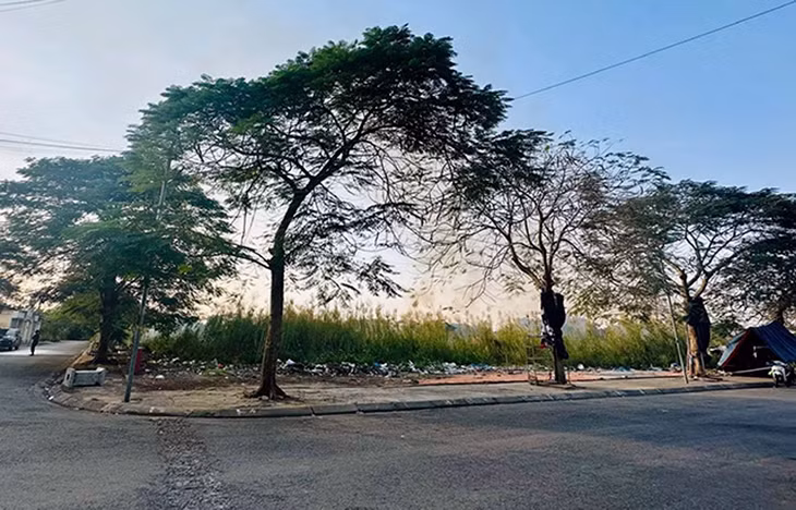 Khu đất được cho thuê để xây chợ An Đồng (quận An Dương, Hải Phòng) nhiều năm nay vẫn chưa được thực hiện
