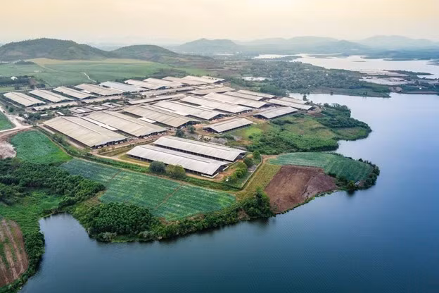 TH đạt kỷ lục Cụm trang trại tập trung ứng dụng công nghệ cao với quy trình sản xuất khép kín quy mô lớn nhất thế giới từ năm 2020 và hiện vẫn giữ kỷ lục này.
