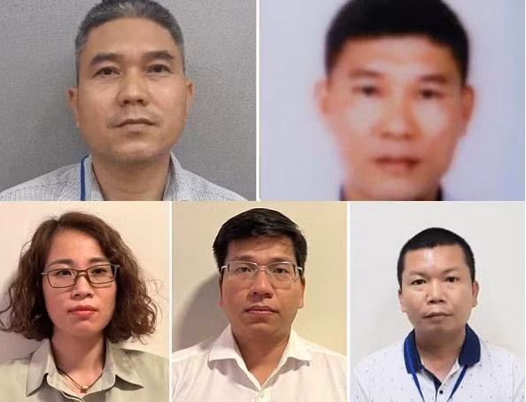 Các bị can (từ trên xuống dưới, trái sang phải): Nguyễn Hồng Hải, Lê Viết Cường, Nguyễn Thị Thanh Tâm, Phạm Viết Anh Vũ, Nguyễn Thành Trung