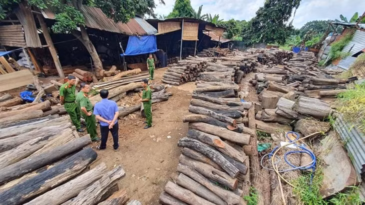Cơ quan chức năng phát hiện xưởng tập kết gỗ trái phép ngay tại trung tâm TP. Buôn Ma Thuột