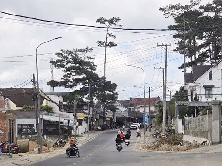 Dự án Xây dựng đường Cam Ly - Phước Thành có tổng mức đầu tư 400 tỷ đồng