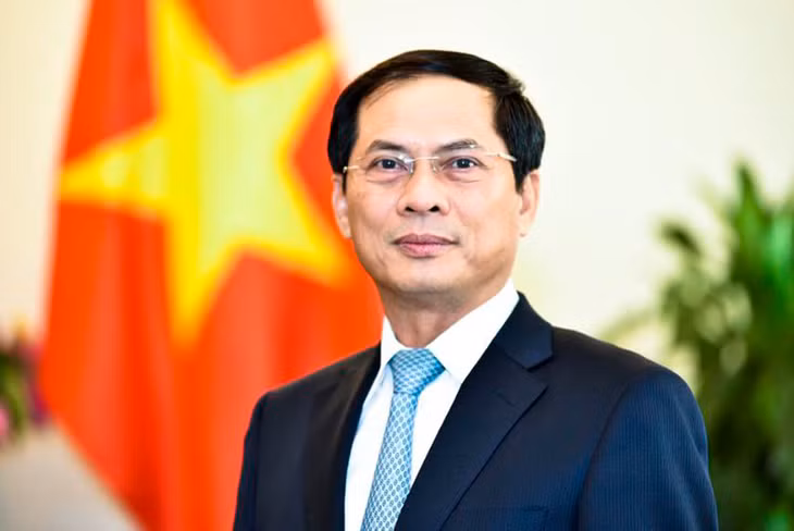 Phó Thủ tướng Chính phủ Bùi Thanh Sơn, ủy viên Ban Thường vụ Đảng ủy Chính phủ.