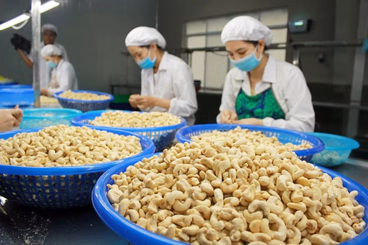 Lũy kế quý I, xuất khẩu hạt điều đạt 147.000 tấn, trị giá 782 triệu USD Lũy kế quý I, xuất khẩu hạt điều đạt 147.000 tấn, trị giá 782 triệu USD