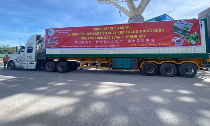 Lô hàng 23,5 tấn quả dừa tươi của một doanh nghiệp Việt Nam xuất khẩu sang thị trường Trung Quốc qua cửa khẩu cầu Bắc Luân 2 Lô hàng 23,5 tấn quả dừa tươi của một doanh nghiệp Việt Nam xuất khẩu sang thị trường Trung Quốc qua cửa khẩu cầu Bắc Luân 2