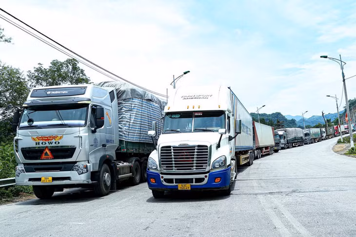 Mỗi ngày, hàng nghìn lượt xe hàng xếp chờ đến lượt thông quan