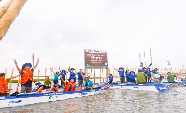 Khu vực khoanh nuôi tái sinh rừng ngập mặn có diện tích 25 ha do Vinamilk, Gaia chung tay thực hiện tại vùng lõi Vườn Quốc gia Mũi Cà Mau. Ảnh: Vinamilk