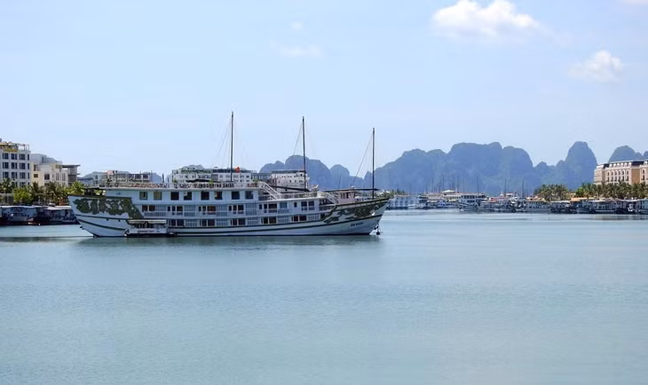 Tàu du lịch trên vịnh Hạ Long nằm bờ suốt thời gian dài do ảnh hưởng của Covid-19 Tàu du lịch trên vịnh Hạ Long nằm bờ suốt thời gian dài do ảnh hưởng của Covid-19