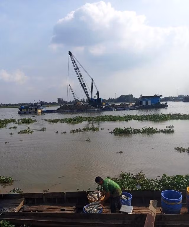 Vài ngày trước, người dân sống ven sông Hậu (xã Long Giang, huyện Chợ Mới) tố cáo doanh nghiệp khai thác cát sông làm vỡ ô bao vuông nuôi cá, khiến cá chết hàng loạt.