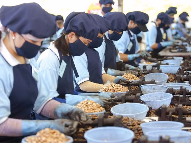 Ngoài Công ty Tín Mai, còn 2 doanh nghiệp khác cũng gặp tình trạng tương tự