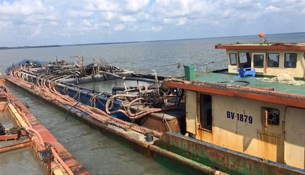 Các phương tiện neo đậu tại khu vực Hải đội Biên phòng 2 thuộc Bộ đội Biên phòng Bà Rịa-Vũng Tàu để điều tra xác minh, xử lý theo quy định của pháp luật