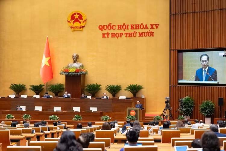 Phó Thủ tướng Chính phủ Bùi Thanh Sơn trình bày Tờ trình