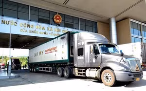 Đảm bảo giải quyết thông quan nhanh đối với hàng hóa xuất khẩu, nhập khẩu trong đợt cao điểm sát Tết Nguyên đán.