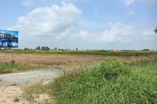 Ảnh minh họa (nguồn Internet)