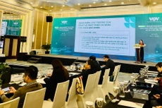 Bà Nguyễn Thu Thuỷ, Phó Cục trưởng Cục Phát triển doanh nghiệp nhà nước thuộc Bộ Tài chính trao đổi thông tin về vai trò dẫn dắt và thách thức năng lực cạnh tranh của khối doanh nghiệp này trong bối cảnh mới