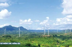 Ảnh minh họa (nguồn: Internet)