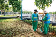 Ảnh: Tiên Giang