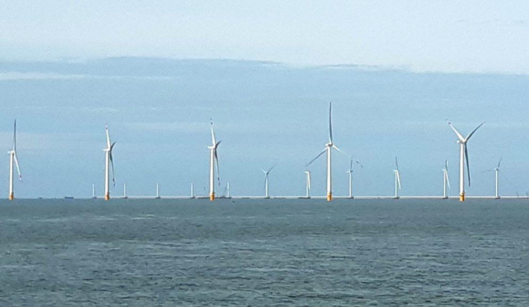 Ảnh minh họa: Lê Tiên