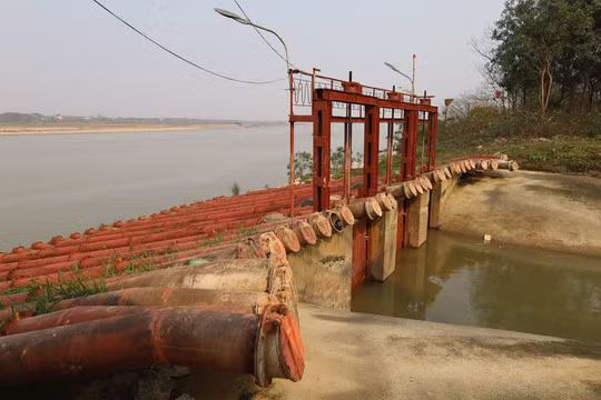 Ảnh minh hoạ: Internet