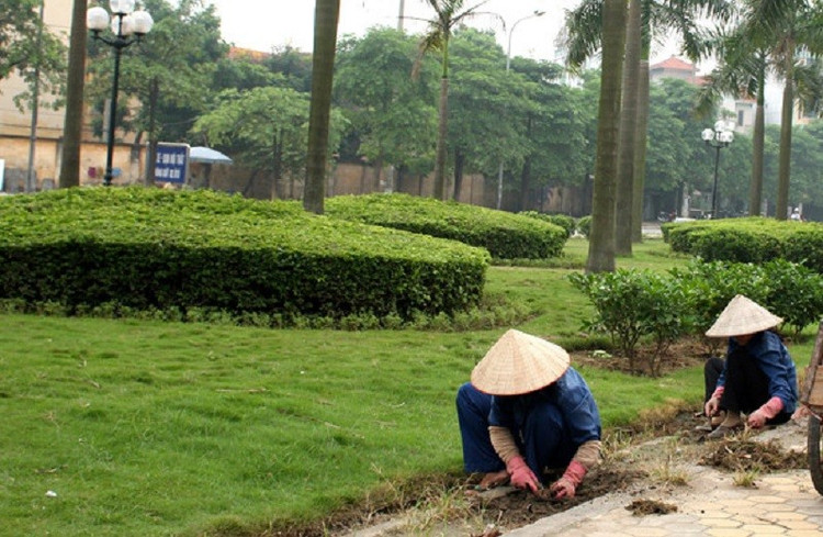 Ảnh chỉ mang tính minh họa