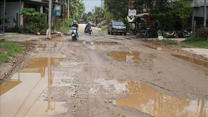 Ảnh minh họa: Internet