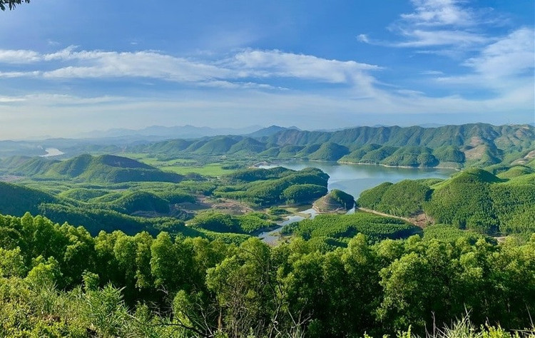 Ảnh minh họa, nguồn Internet