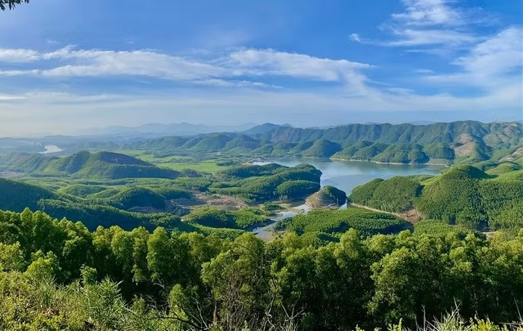 Ảnh minh họa, nguồn Internet