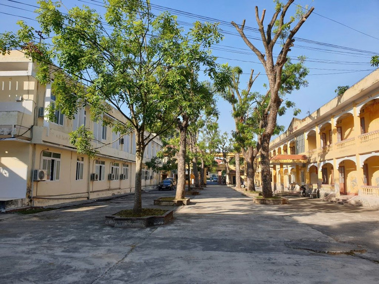 Ảnh minh họa. Nguồn: Internet