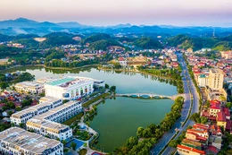 Ảnh minh họa internet