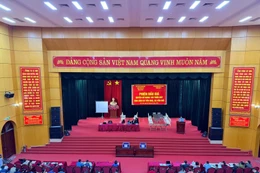 Quang cảnh phiên đấu giá 185 thửa đất tại xã Yên Mô, Ninh Bình (nguồn ảnh: Trung tâm Dịch vụ đấu giá tài sản tỉnh Ninh Bình)