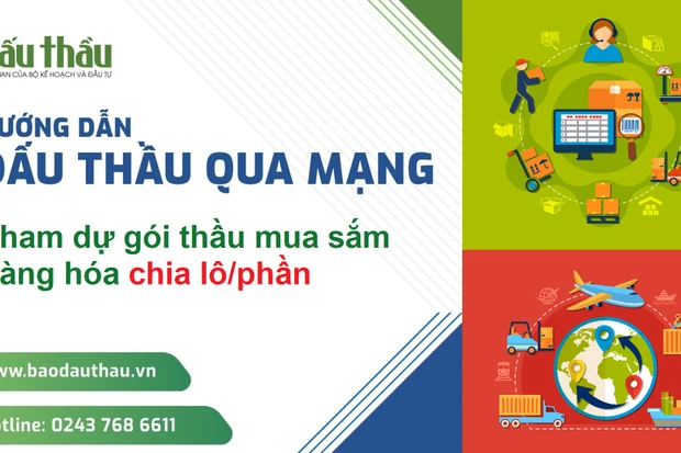 Hướng dẫn tham dự gói thầu mua sắm hàng hóa chia lô/phần