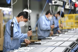 Hoạt động gia nhập và tái gia nhập thị trường của doanh nghiệp tháng 6 và 6 tháng đầu năm 2025 có nhiều kết quả tích cực (ảnh: Internet)