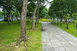 Gói thầu: Gói thầu số 06 Dịch vụ công ích lĩnh vực thoát nước đô thị, công viên cây xanh, đèn tín hiệu giao thông, bảo trì đèn chiếu sáng đô thị