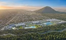 Ngày 25/09/2026, đấu giá quyền sử dụng đất, công trình xây dựng và cây trồng trên đất tại xã Hậu Nghĩa, tỉnh Tây Ninh