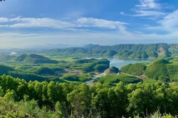 Ảnh minh họa, nguồn Internet