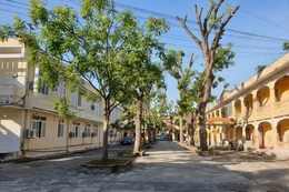 Ảnh minh họa. Nguồn: Internet