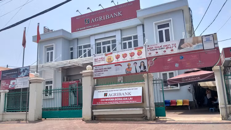 Ảnh nhà thầu cung cấp