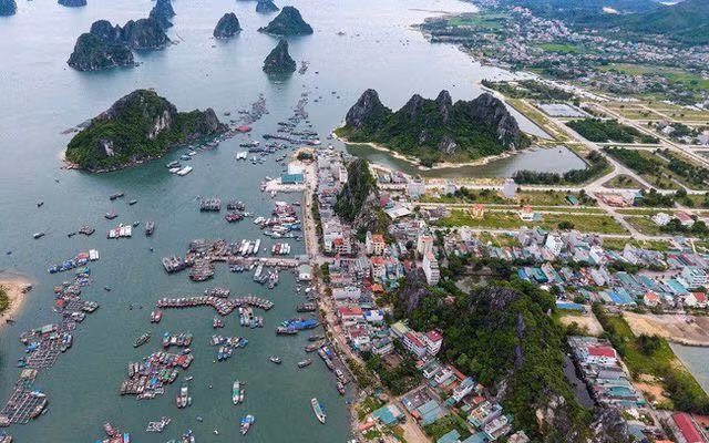 Ảnh chỉ mang tính minh họa. Nguồn Internet