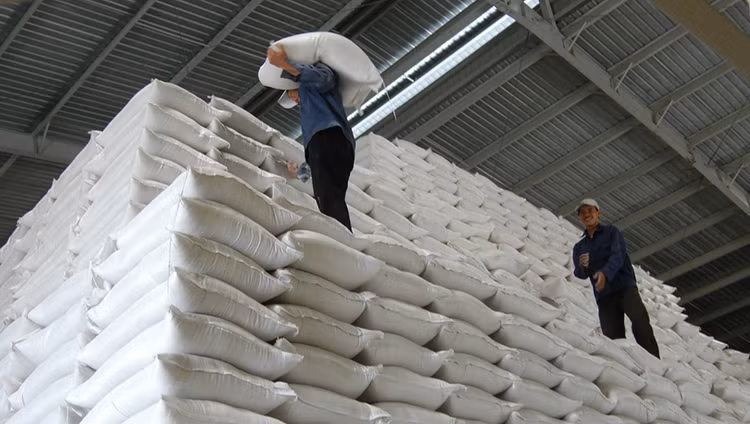 Nhà nước nắm giữ 51% vốn điều lệ khi thực hiện cổ phần hóa Tổng công ty Lương thực miền Nam. Ảnh: Tường Lâm