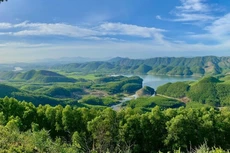 Ảnh minh họa, nguồn Internet