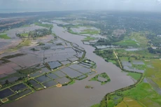 Ảnh minh họa, nguồn Internet