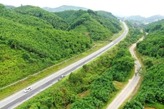 Ảnh minh họa: internet