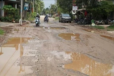 Ảnh minh họa: Internet