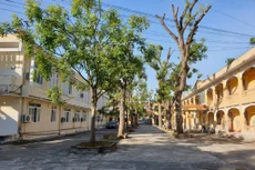 Ảnh minh họa. Nguồn: Internet