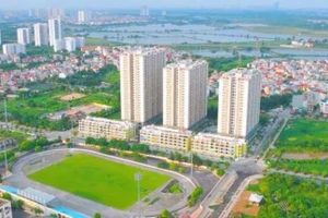 Ảnh minh hoạ (nguồn Internet)